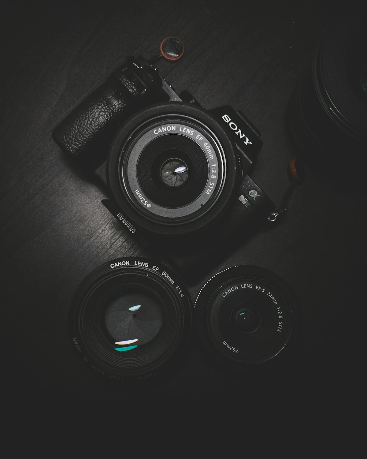 Photo 1 of 2: Photographer for my daughter's 5th birthday party